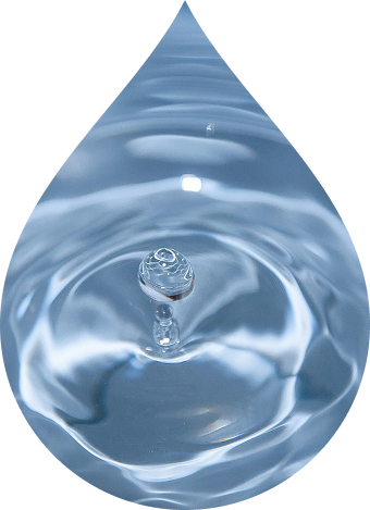 Gota de agua Sauco
